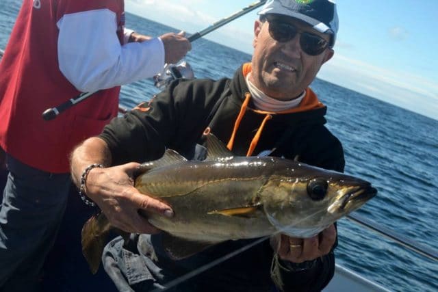 A good pollack caught on the Malin Waters Media Boat yesterday