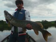 Lough Allua fishing well, pike to 102cm landed 97cm pike