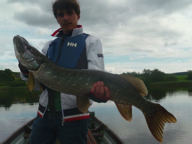 97cm pike