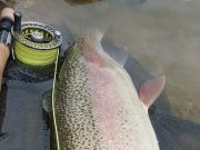 Super rainbows at the Johnny Scott memorial at Ardaire Springs A super rainbow..