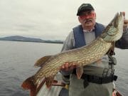 Good pike fishing on troll and fly in Mayo Bert Müllrick, Germany, with a fine Lough Conn Esox