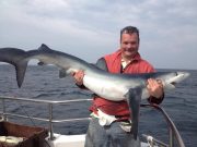 A busy week for the Clare Dragoon in Carrigaholt