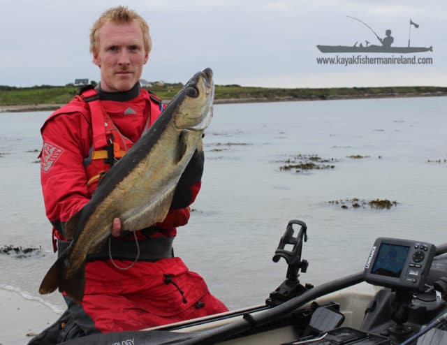A fine Connemara pollack