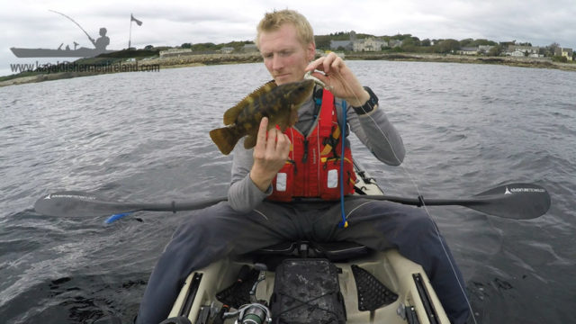 Wrasse