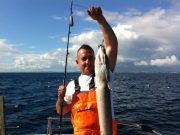 Three Ling hook up as the Sea Breeze fishes the wrecks