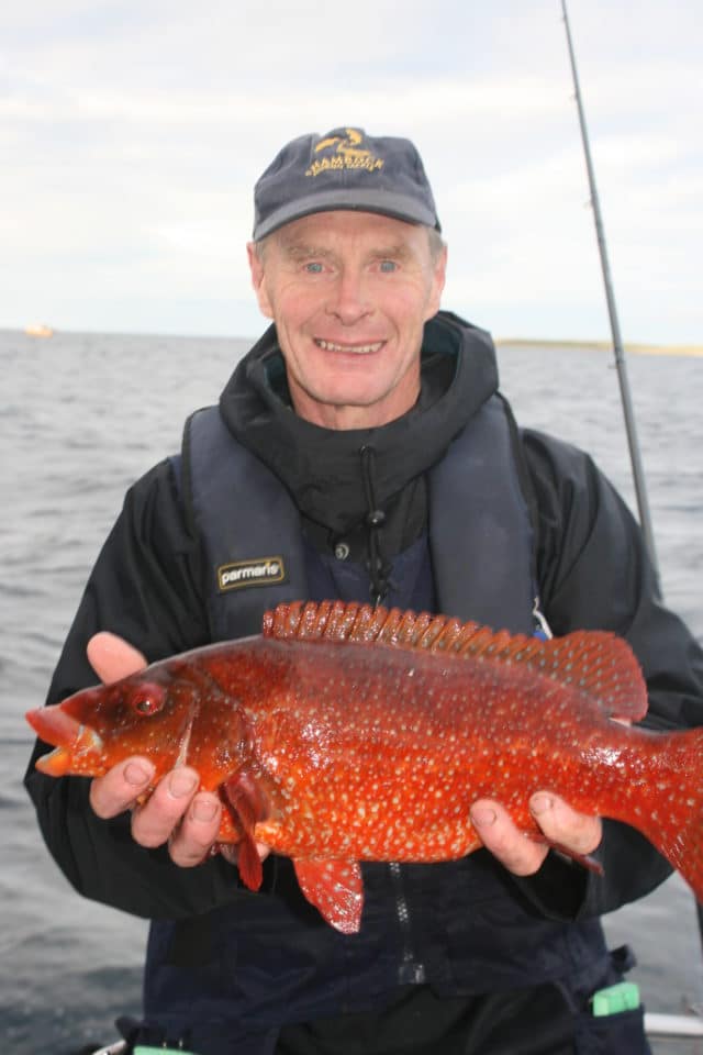 Anthony Austin, Ireland, with a big ballan wrasse