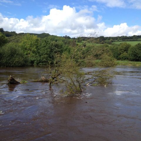 Ian Powel - Flood in Munster Blackwater Sept 2015 2