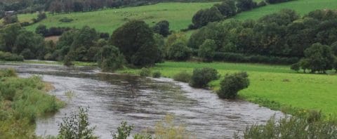Flood in Munster Blackwater Sept 2015