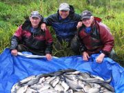 Big roach plus bream and hybrids for Melview guests Phil Rogers, Tony Clawson and Les Humphreys with one of their catches of Bream.