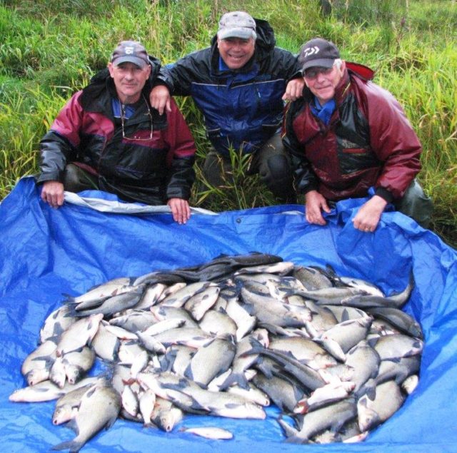 Phil Rogers, Tony Clawson and Les Humphreys with one of their catches of Bream.
