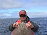 24 rays, turbots and dogs for charter boat anglers on Killala Bay ray
