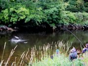 French Anglers Enjoy Success on First Salmon Fishing Trip to Ireland