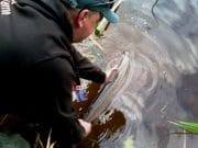 French Anglers Enjoy Their Fish and Chips on the Boyne