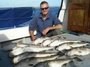 Great fishing in Cork despite the stiff south easterlies David Edwards with part of his catch of cod