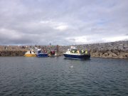 Irish Angling Update – 17/09/15
