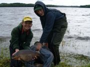 NCFFI All Ireland Junior Champions of 2015 bream