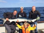 More great fishing for charter boat anglers in West Cork Paul,Wanne and Jan had 3 great days fishing at Courtmacsherry,fish included blue shark to over 2 m