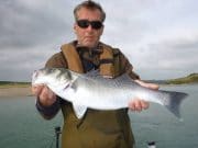 Fabulous fishing for bass at Clonakilty 31 bass were caught last Tuesday