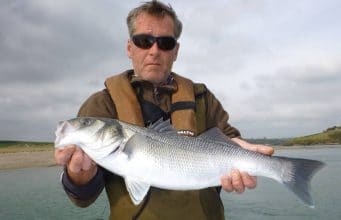31 bass were caught last Tuesday