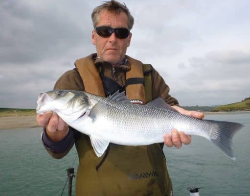 31 bass were caught last Tuesday