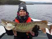 Pike fishing on Lough Derg going well
