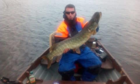 Cracking  23lb pike on the Clare river