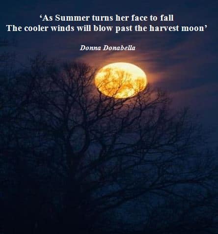 As Summer turns its face to Fall