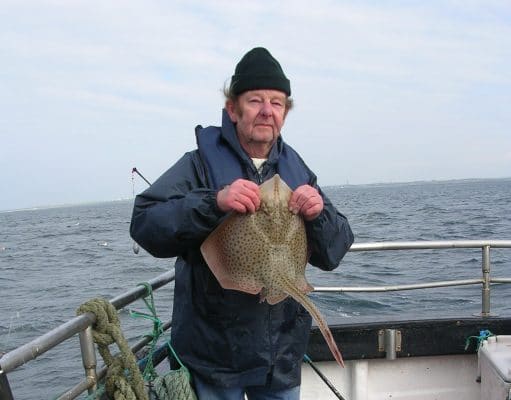Great fishing on Killala Bay for rays, dabs, plaice and turbot Spotted ray