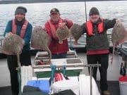Great crew, great weather and great fishing on Killala Bay Rays and turbot caught from Killala Bay
