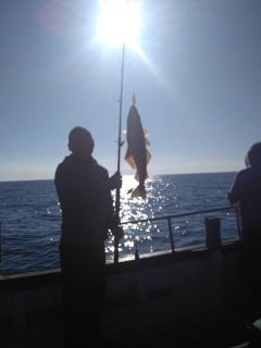 Fishing Adventures - Oct 11th 2015 3