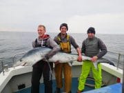 Brazen Hussy gets the blues A fine specimen blue shark estimated at 109lbs caught by David O'Malley (left) aboard the Brazen Hussy II in Galway Bay recently.
