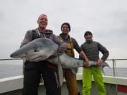 Lots of smiles while chasing the blues in Galway Three men...and one big shark !