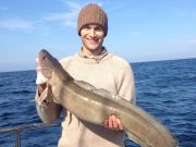 Cod, skate, shark, ling and dogs keep the Carrigaholt skippers busy