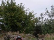 First match of the Newry Coarse Fish Angling club winter league on the Newry Canal