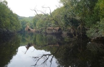 Irish Angling Update – 22/10/15 Beautiful Lough Allua captured by guide Greg Latour