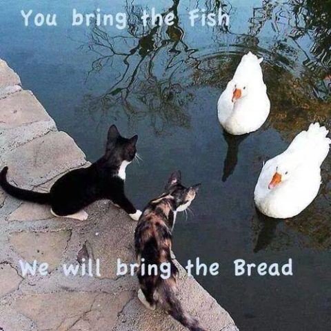 image013