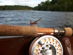 reel