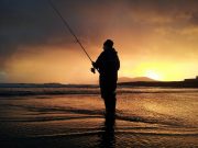 Irish Angling Update, 19/11/15 bass