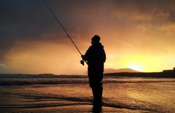 Irish Angling Update, 19/11/15 bass