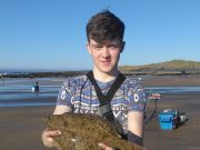 No bass but plenty of flounder at Fanore for competition anglers Clare