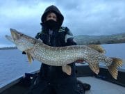 pike