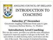 Get invovled with the Introduction to coaching at Greystones on Dec 5th