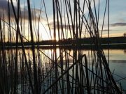 Irish Angling Update, 27/11/15