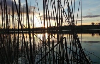 Irish Angling Update, 27/11/15