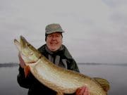 Ennell pike hitting the lures well Pike