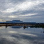 Drowes – Kelly’s Ground, below the Sand Hole yesterday.