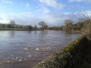 High water on the Munster Blackwater Blackwater yesterday