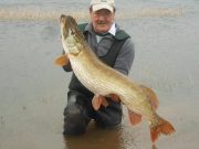 Dennis Coyne with 33lbs 6oz pike