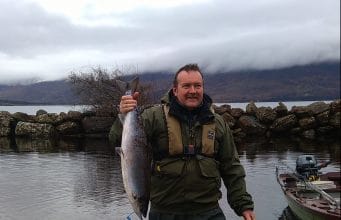salmon