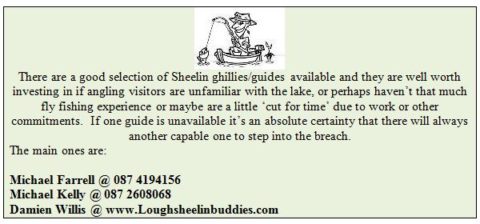 Sheelin Gilies